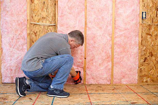Best Insulation Inspection Services  in Argentine, MI