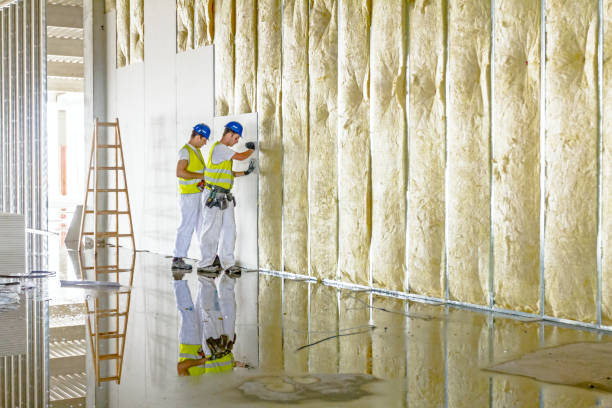 Best Cellulose Insulation  in Argentine, MI